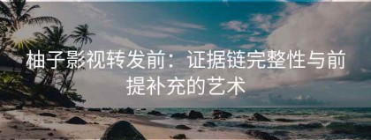 柚子影视转发前：证据链完整性与前提补充的艺术
